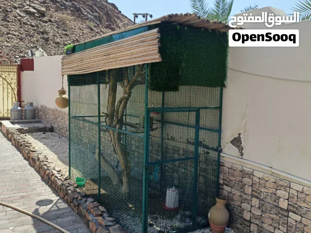 قفص للبيع نظيف  .2متر الطول والارتفاع والعرض متر