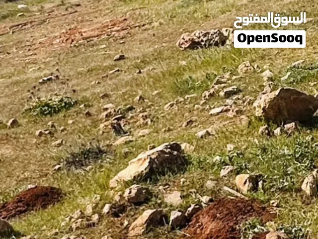 قطعة ارض مخطط الطيارة بوهادي شارع قبل المحل الغذائية