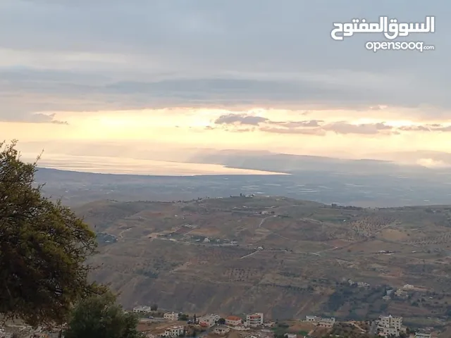 قطعة ارض ثلاث شوارع اطلالة بانوراما على فلسطين والبحر الميت واجهة كبيرة