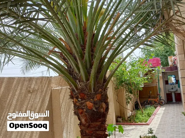 بيت للبيع في المهندسين