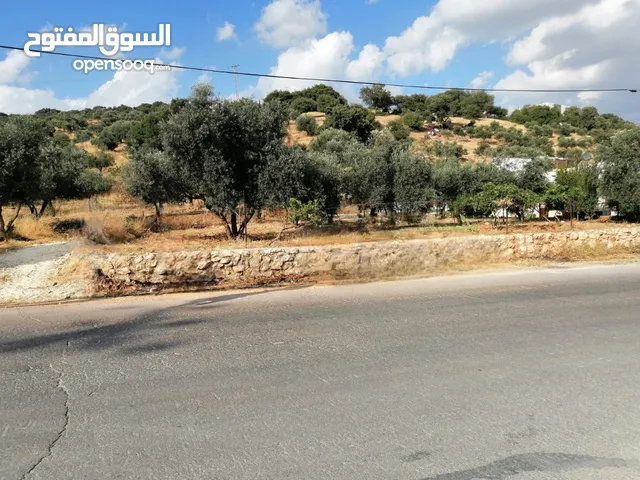 أرض سكنية في بدر