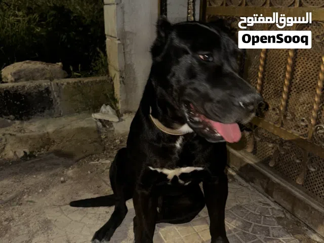 للزواج مستوى علي جدا