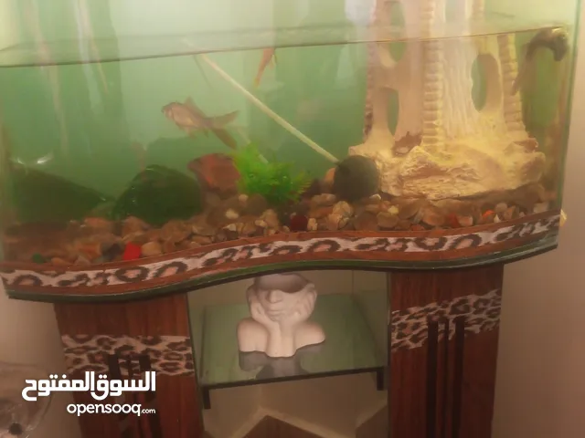 احواض سمك للبيع