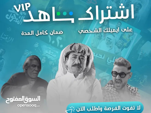 Netflix Accounts and Characters for Sale in Irbid