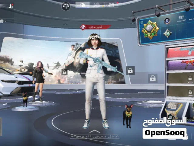 Pubg Accounts and Characters for Sale in Tripoli