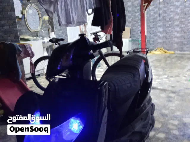 سكنس فحل نوزل