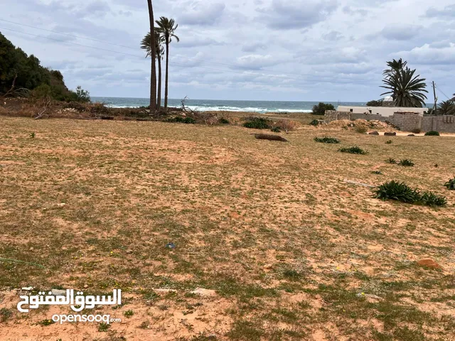 Commercial Land for Sale in Qasr Al-Akhiar Other
