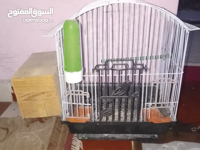 قفص عصافير للبيع