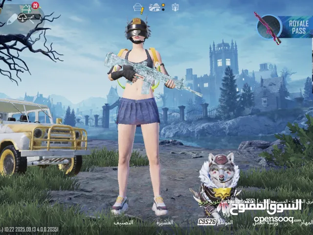 Pubg Accounts and Characters for Sale in Rif Dimashq
