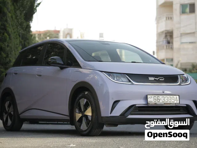 2023 بي واي دي دولفين