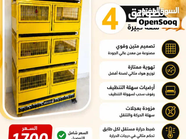محكر صيصان دجاج للبيع شبه جديد