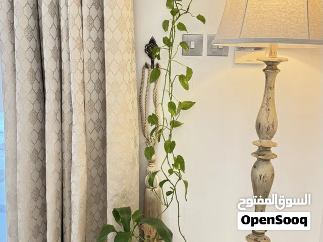Indoor and Outdoor Plants and Pots