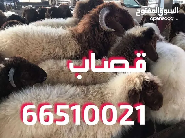 قصاب متنقل تحت الطلب