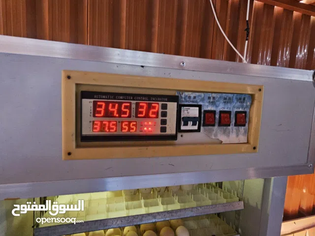 It contains 528 eggs and is of good quality.