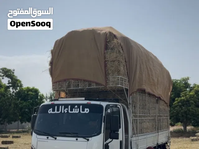 نقل عام عمان والامارات 24 ساعه
