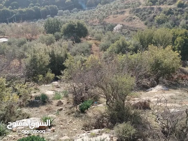 Farm Land for Sale in Salt Al Balqa'