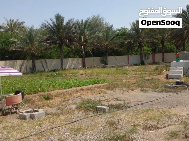 مزرعه محوطة للبيع