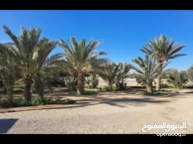 Farm Land for Sale in Amman Al-Khreim