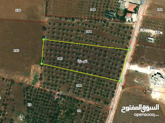 Farm Land for Sale in Madaba Al-Faisaliyyah