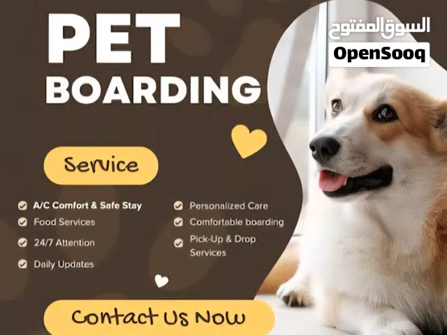 خدمة ايواء للكلاب dogs boarding