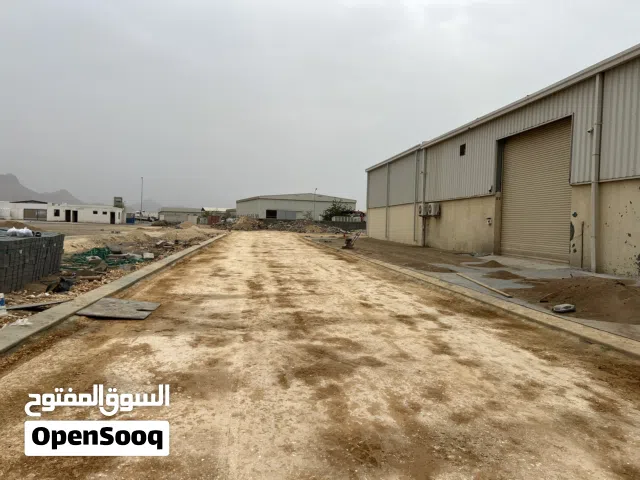 أعمال الحفر وتسوية الأراضي وهدم المباني