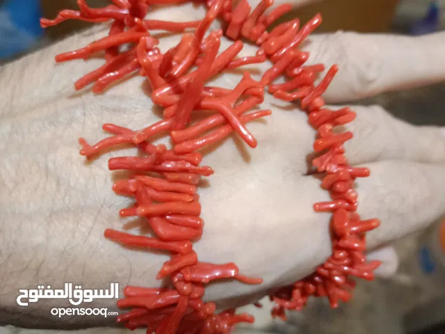 عقد مرجان أصلى ايطالى غير معالج 50 سم 50 جرام