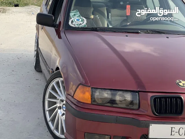 ,e36Bmw cobra
