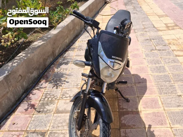 دراج بجاج للبيع مديل 2020