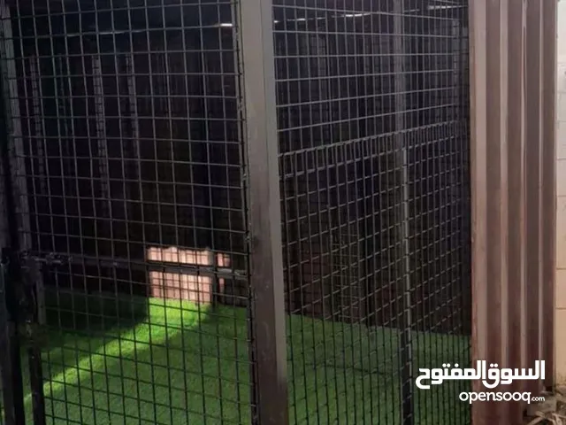 قفص حديد للبيع (الطول مترين ونص ، العرض مترين، الارتفاع مترين) ، ينفع لجميع الحيوانات