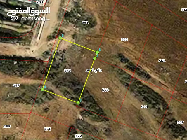 Residential Land for Sale in Amman Wadi El Seer