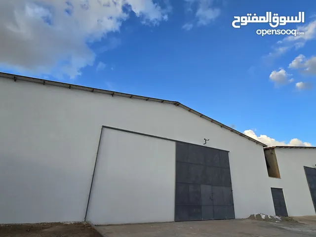 زوز هناجر للايجار مساحة كل واحد 1000m في طريق الابيار عين زارة غطاء سندوتش لكل المشاريع التجارية وال