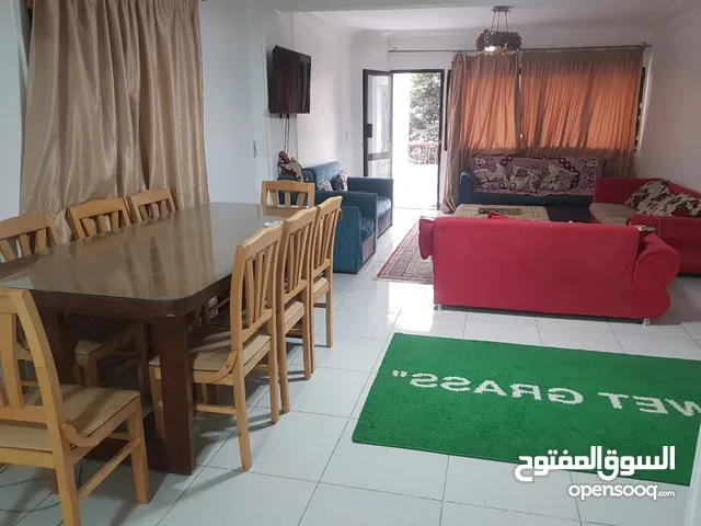 180 m2 2 Bedrooms Apartments for Rent in Giza Dokki