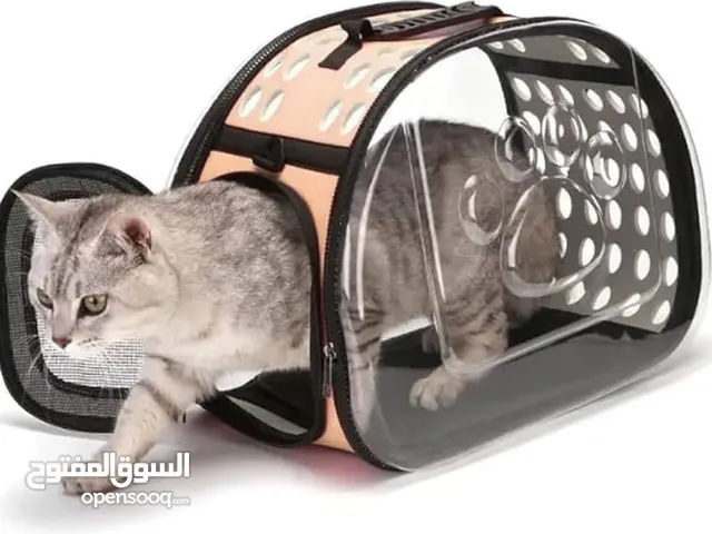شنته كتف لحمل القطط شفاف