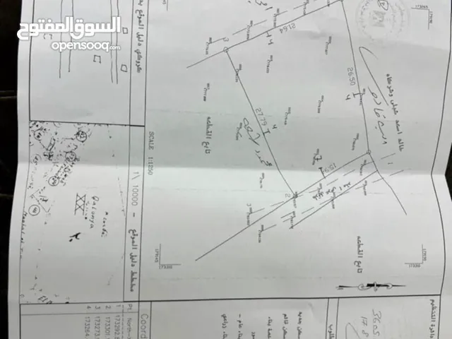 نمرة ارض في نابلس الجديده اعلى تله في المنطقة كاشفه مرتفعه
