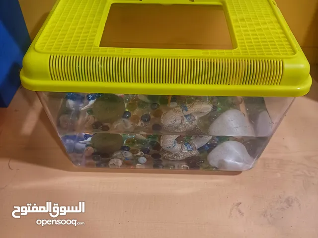 "سمك للبيع مع القفص – جاهز للتربية ومناسب لجميع الأعمار!" "الكمية محدودة، تواصل معنا قبل النفاد!"