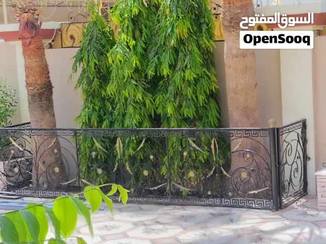 حاجز حديدي للنباتات
