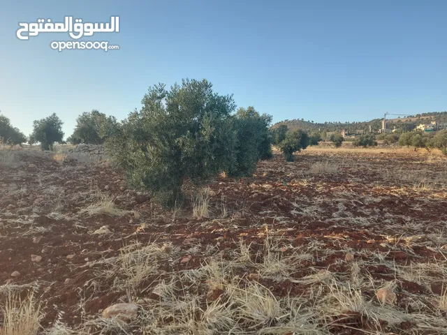Farm Land for Sale in Jerash Other