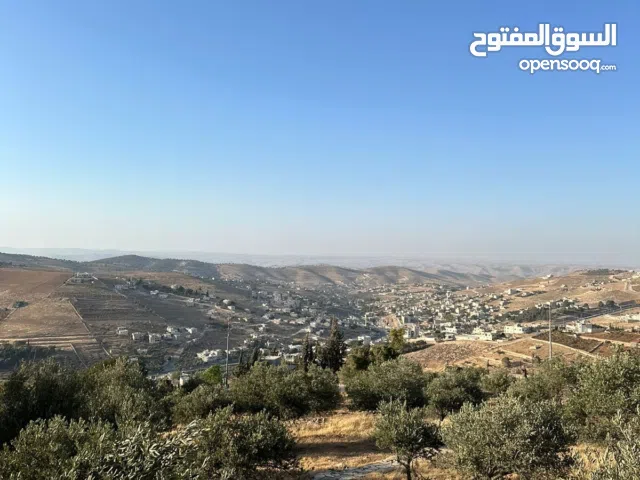  Land for Sale in Zarqa Birayn