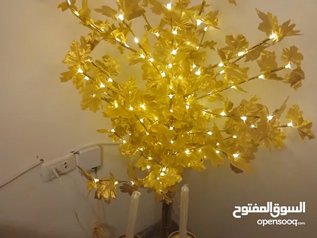 شجره رمضان زينه مستعمله موجوده بجبل الويبد