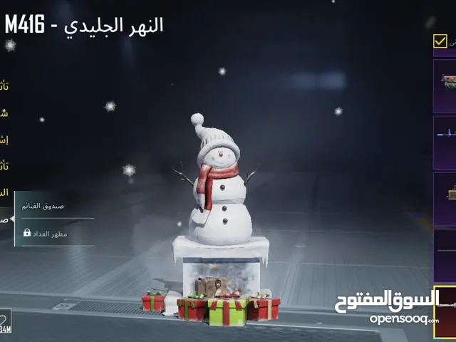 Pubg Accounts and Characters for Sale in Amman