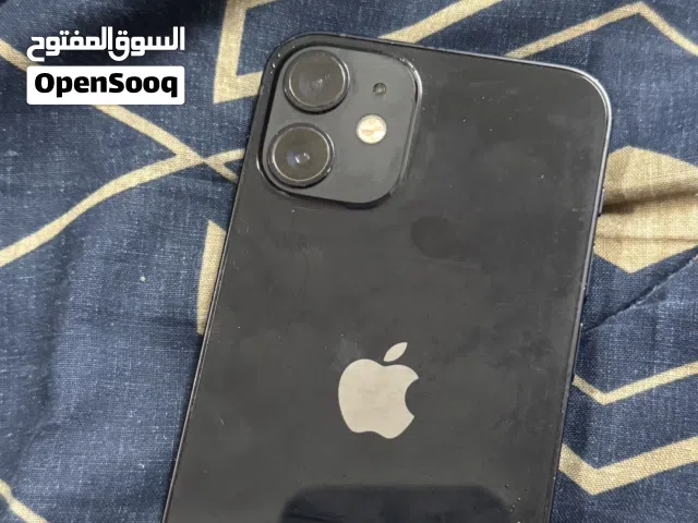 Apple iPhone 12 Mini 256 GB in Muscat