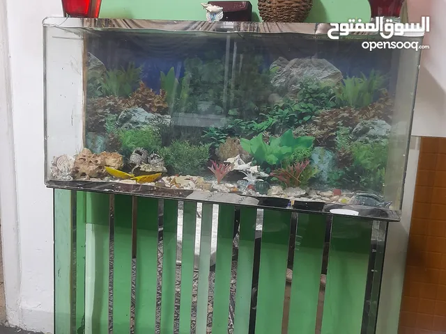حوض سمك ارتفاع مترين عرض 140