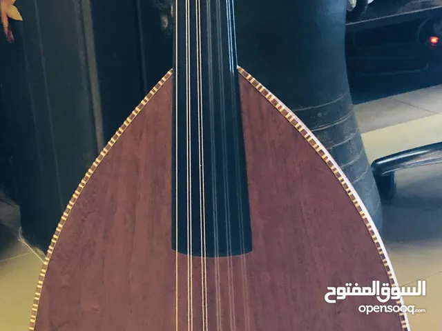 Electric oud