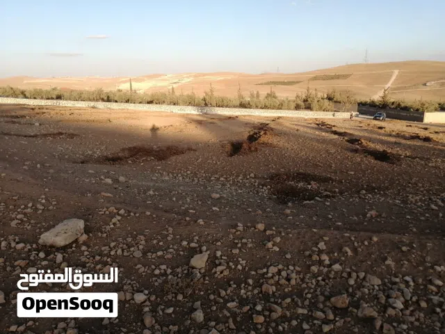 Farm Land for Sale in Mafraq Bala'ama