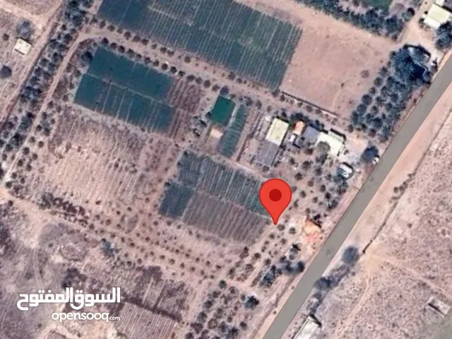 Farm Land for Sale in Sharjah Other