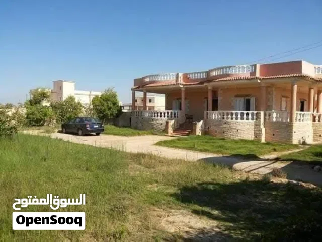 لسرعه البيع 10 فدان للبيع عقد اخضر في منطقه من افضل المناطق الزراعيه اول ميزه (الارض في الارياف)