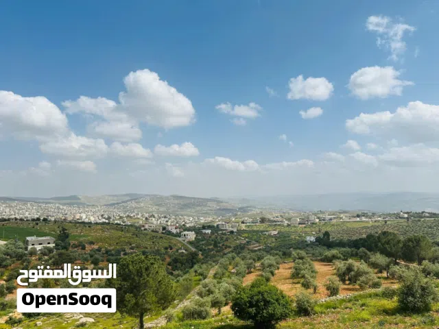 Mixed Use Land for Sale in Jerash Other