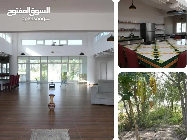 4 Bedrooms Farms for Sale in Al Batinah Barka