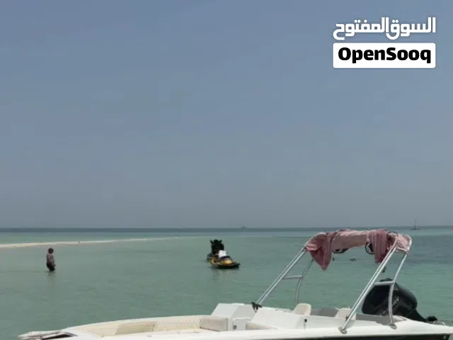 طراد فلوستي