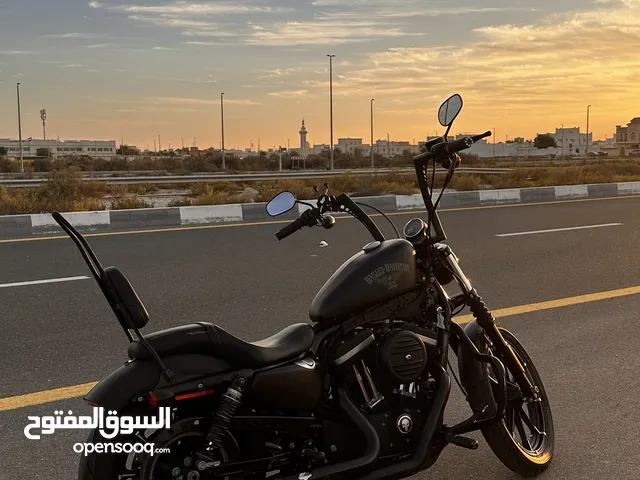 Harley-Davidson (sporster Iron 883) 2017